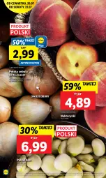 Gazetka promocyjna Lidl - GAZETKA - Gazetka - ważna od 22.07 do 22.07.2023 - strona 56 - produkty: Cebula, Nektar