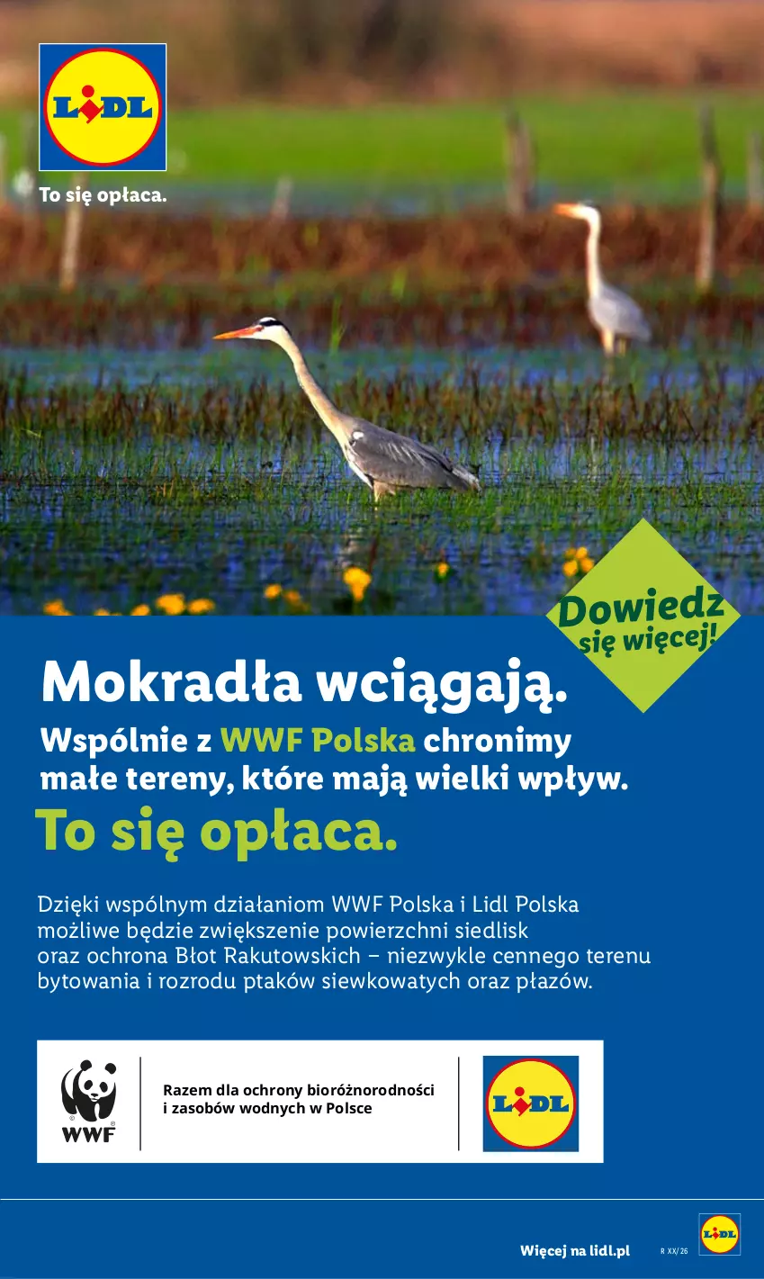 Gazetka promocyjna Lidl - Katalog ważny od 6.07 - ważna 06.07 do 11.07.2026 - strona 60