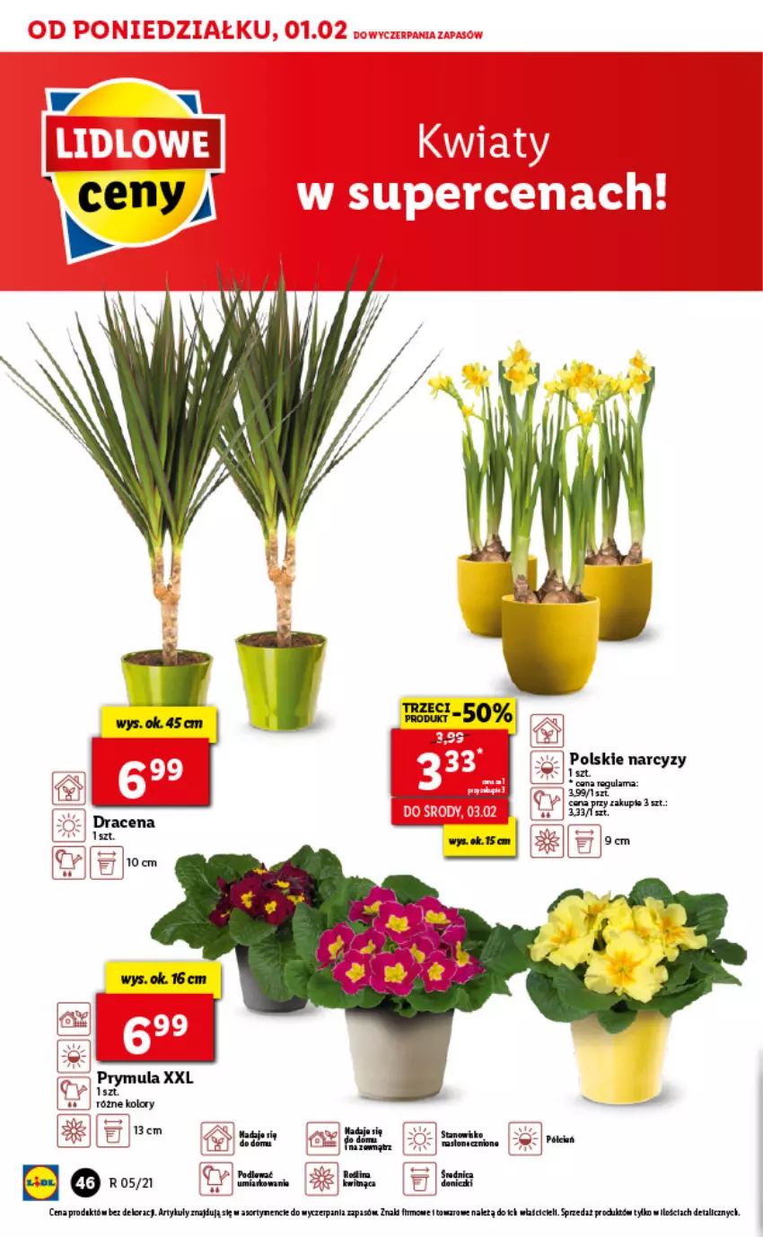 Gazetka promocyjna Lidl - GAZETKA - ważna 01.02 do 03.02.2021 - strona 46