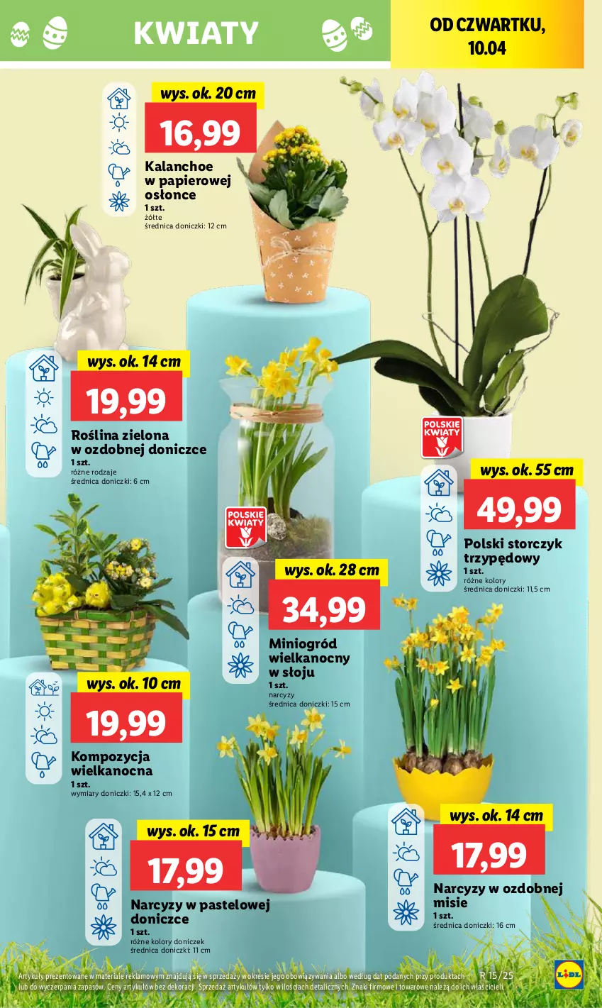 Gazetka promocyjna Lidl - GAZETKA - ważna 09.04 do 13.04.2025 - strona 55 - produkty: Kalanchoe, Narcyz, Ogród, Papier, Storczyk