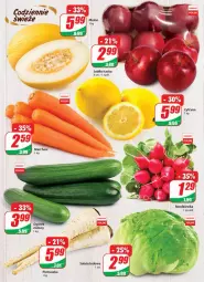 Gazetka promocyjna Dino - Gazetka - Gazetka - ważna od 16.08 do 16.08.2022 - strona 12 - produkty: Pietruszka, Ogórek, Rzodkiewka