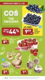 Gazetka promocyjna Aldi - Katalog spożywczy - Gazetka - ważna od 21.05 do 21.05.2022 - strona 2 - produkty: Czosnek, Pomidory, Boczniak