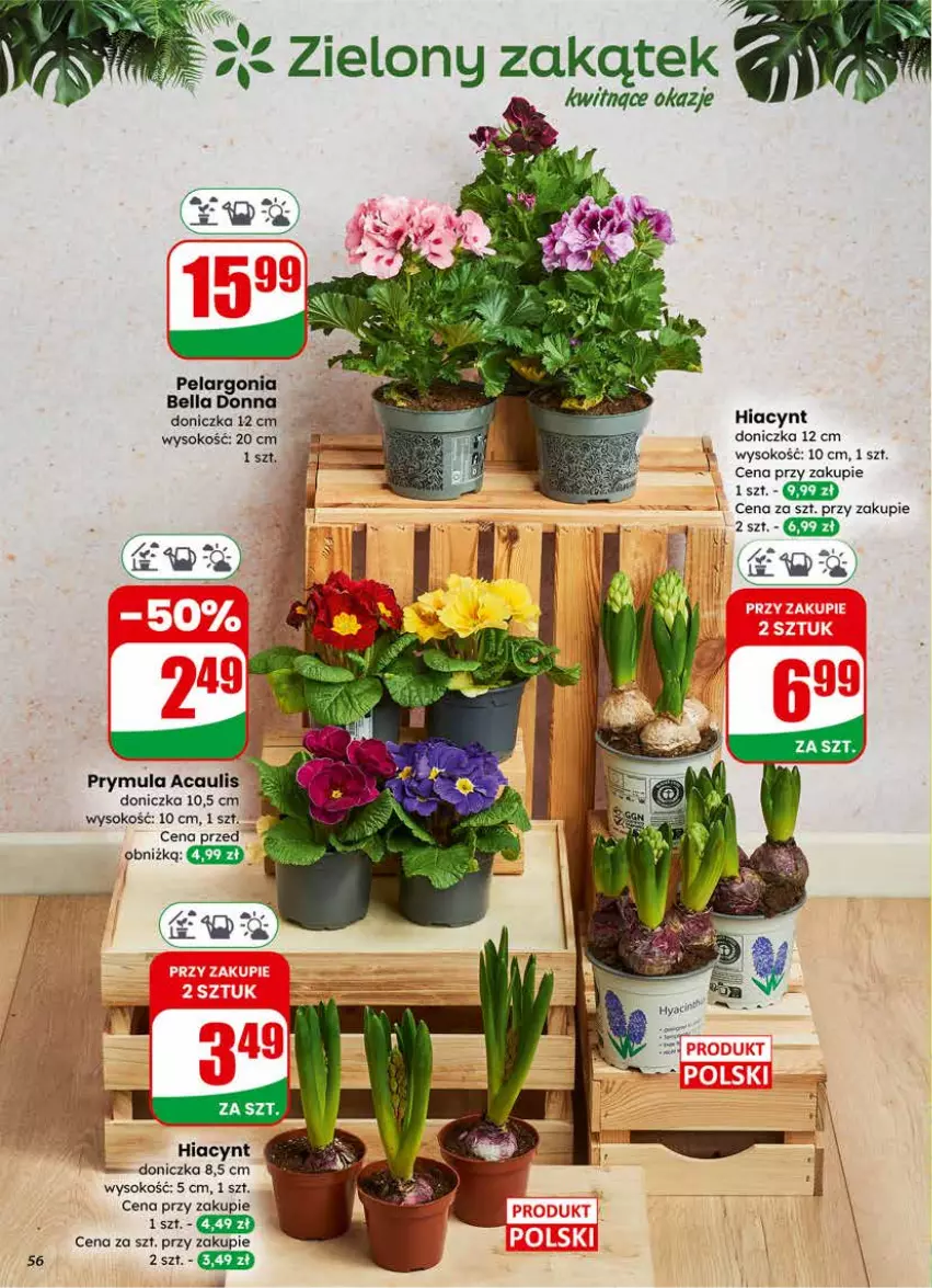 Gazetka promocyjna Dino - Gazetka 09 / 2026 - ważna 25.02 do 03.03.2026 - strona 56 - produkty: Bell, Bella, Hiacynt, Prymula, Sok