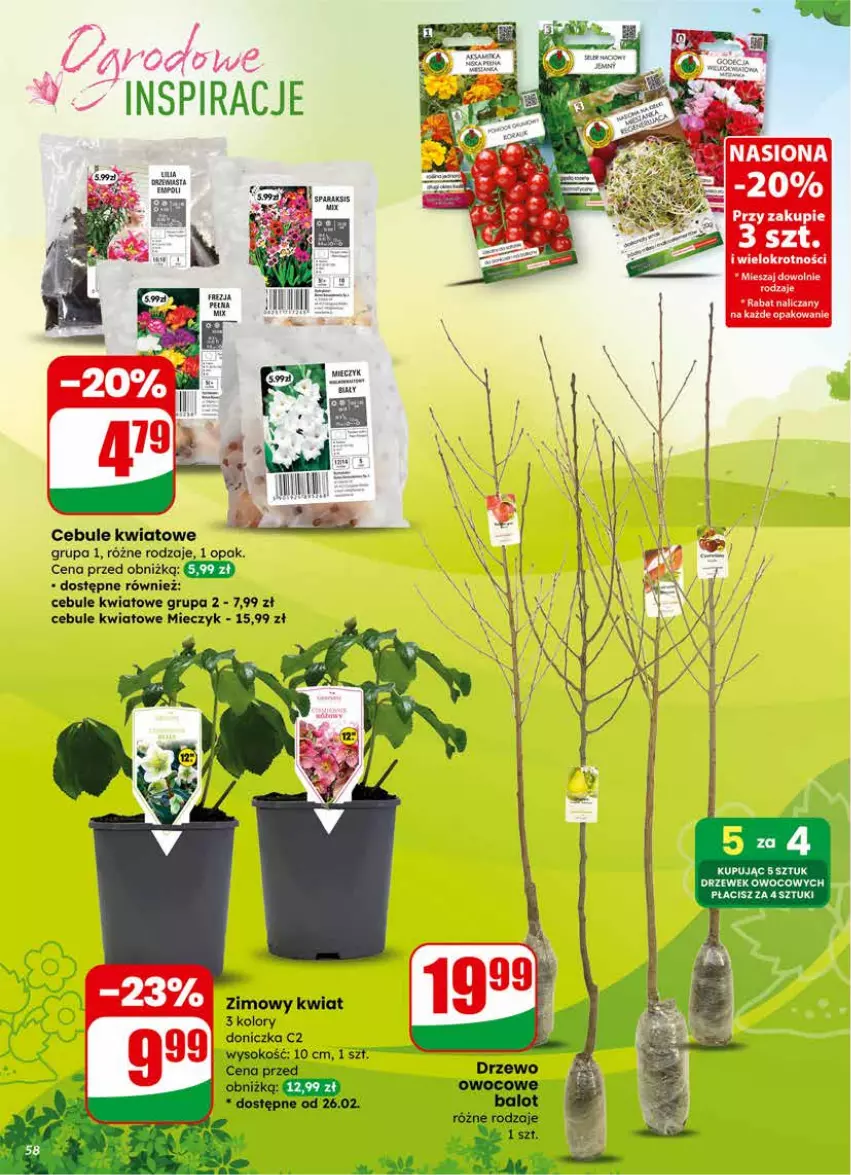 Gazetka promocyjna Dino - Gazetka 09 / 2026 - ważna 25.02 do 03.03.2026 - strona 58 - produkty: Miecz, Sok