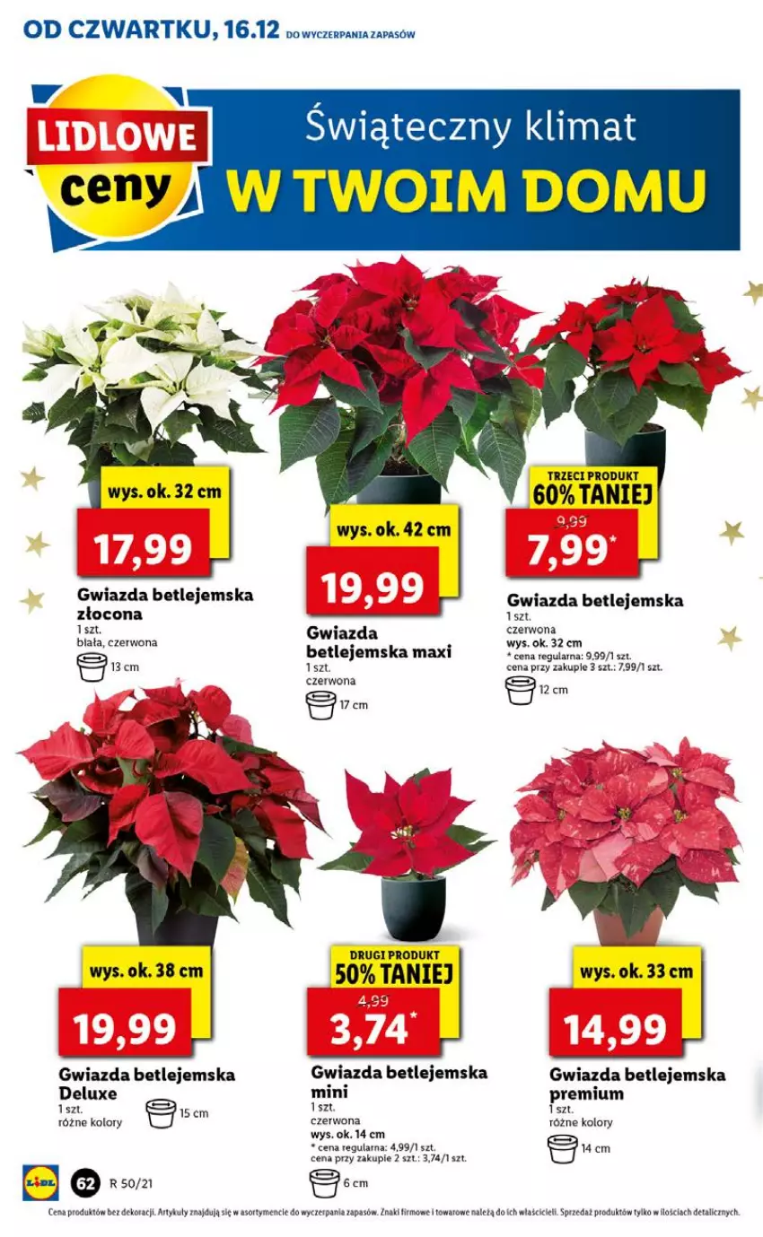 Gazetka promocyjna Lidl - GAZETKA OD 16.12 DO 19.12 - ważna 16.12 do 19.12.2021 - strona 62 - produkty: Gwiazda