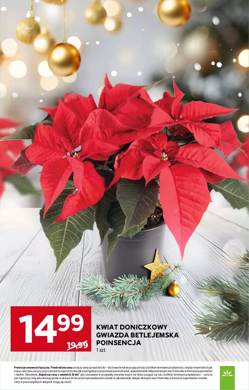 Gazetka promocyjna Stokrotka - Market - ważna 27.11 do 03.12.2025 - strona 14 - produkty: Gwiazda, Mięso, Owoce, Warzywa