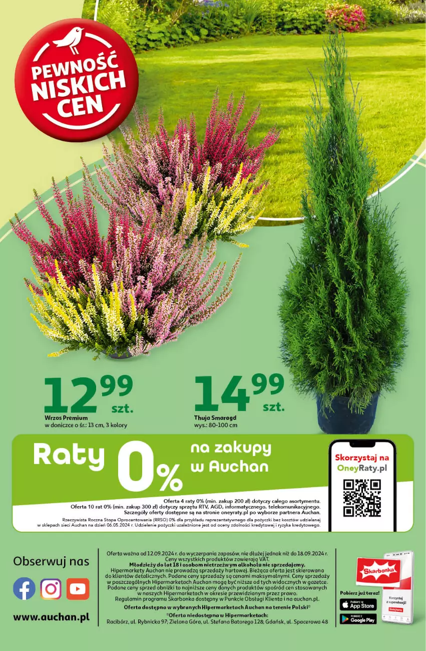 Gazetka promocyjna Auchan - Pewność Niskich Cen Hipermarket - ważna 12.09 do 18.09.2024 - strona 56 - produkty: Acer, Fa, Gra, Kosz, Por, Tera, Top