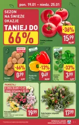 Gazetka promocyjna Aldi - Pełna oferta - Gazetka - ważna od 25.01 do 25.01.2026 - strona 3 - produkty: Sok, Tulipan, Papryka, Ziemniaki, Bukiet, Pomidory, Mięta, Szpinak