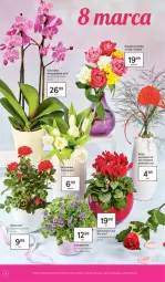 Gazetka promocyjna Tesco - Tesco gazetka - przyszły tydzień - Gazetka - ważna od 10.03 do 10.03.2021 - strona 4 - produkty: Campanula, Por, Cyklamen, Tulipan, Róża, Chia, Bukiet