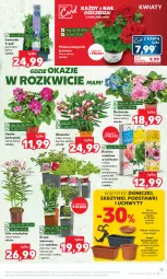 Gazetka promocyjna Kaufland - Gazetka tygodnia - Gazetka - ważna od 02.05 do 02.05.2023 - strona 13 - produkty: Piwo, Por, Uchwyty, Maliny, Waga, Grunt, Gres