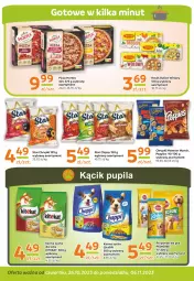 Gazetka promocyjna Gama - Gazetka Gama - Gazetka - ważna od 26.10 do 26.10.2024 - strona 8 - produkty: Bulion, Winiary, Chipsy, Chappi, Chrupki, KiteKat, Lion, Pizza, Rosół, Monster Munch, Pedigree, Przysmak dla psa, Hortex