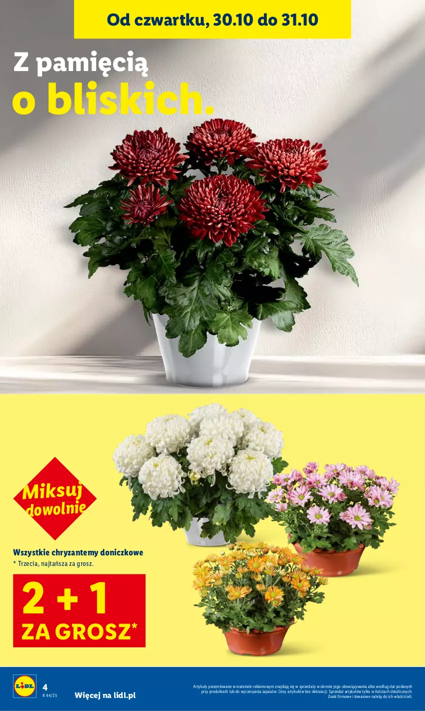 Gazetka promocyjna Lidl - GAZETKA - ważna 30.10 do 31.10.2025 - strona 4