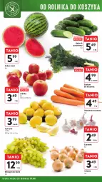 Gazetka promocyjna Intermarche - Gazetka - ważna od 19.06 do 19.06.2024 - strona 18 - produkty: Cebula, Ogórek, Czosnek, Siatka, Arbuz, Wino, Grunt, Jabłka
