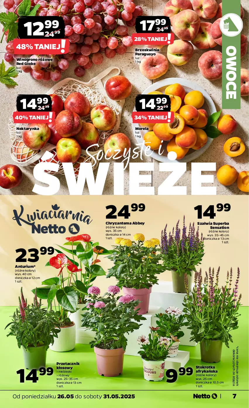 Gazetka promocyjna Netto - Od Poniedziałku - ważna 26.05 do 31.05.2025 - strona 7 - produkty: Chryzantema, Morela, Nektar, Nektarynka, Owoce, Sati, Wino