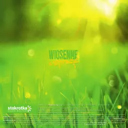 Gazetka promocyjna Stokrotka - Wiosenne inspiracje - Gazetka - ważna od 02.04 do 02.04.2025 - strona 40 - produkty: Warzywa, Owoce, Mięso, Fa