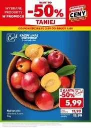 Gazetka promocyjna Kaufland - Gazetka - ważna od 04.09 do 04.09.2024 - strona 18 - produkty: Nektar