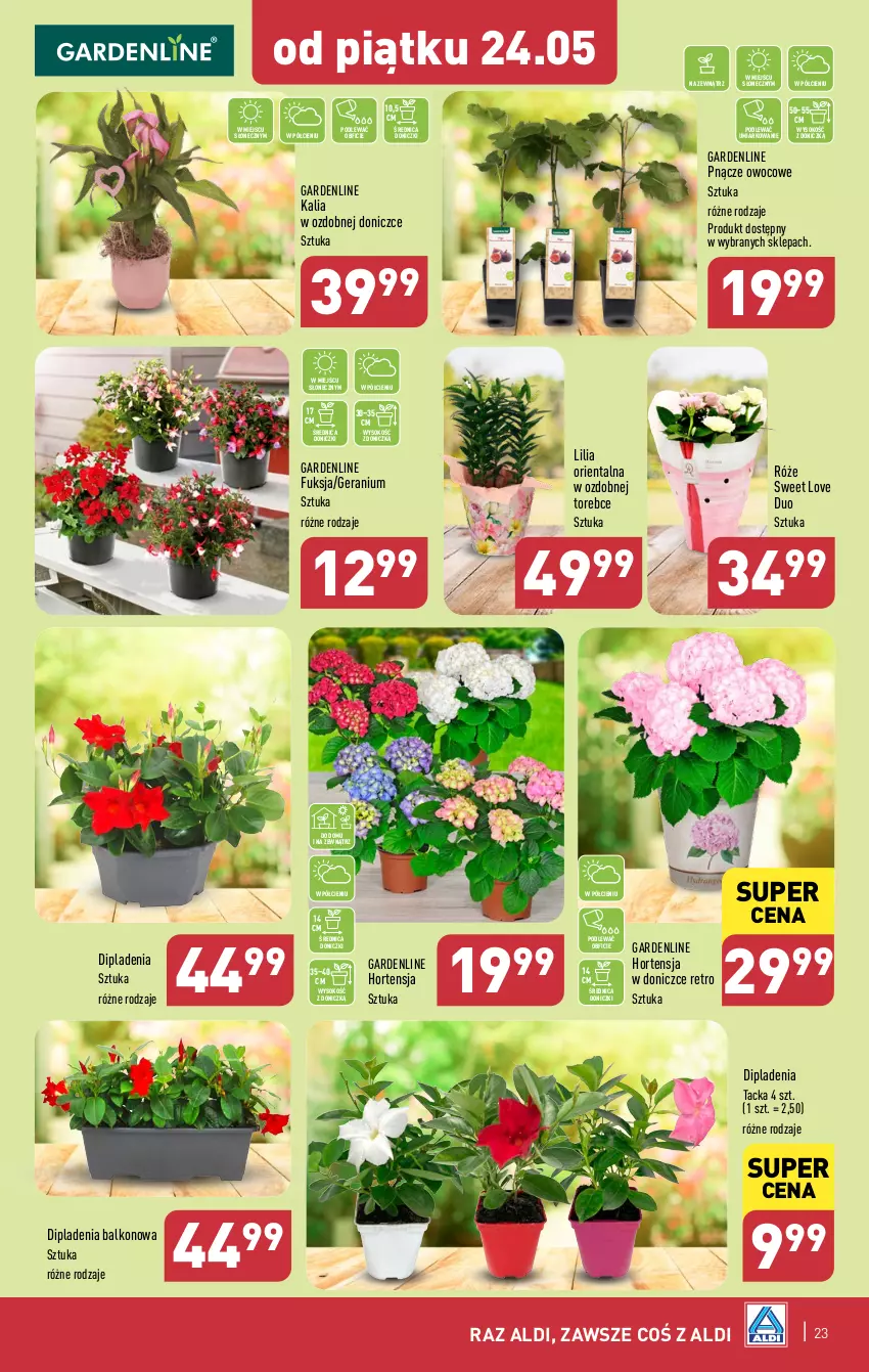 Gazetka promocyjna Aldi - Pełna oferta - ważna 20.05 do 25.05.2024 - strona 23 - produkty: Sok