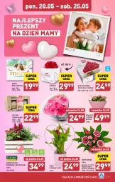 Gazetka promocyjna Aldi - Pełna oferta - Gazetka - ważna od 25.05 do 25.05.2024 - strona 19 - produkty: Sok, Ser, Kosz, Raffaello, Kalanchoe, Miód, Bukiet, Merci, Kokos, Fa