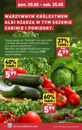 Gazetka promocyjna Aldi - Pełna oferta - Gazetka - ważna od 25.05 do 25.05.2024 - strona 4 - produkty: Pomidory