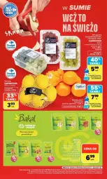 Gazetka promocyjna Carrefour - Gazetka Carrefour, Market w SUMIE weź to na świeżo - Gazetka - ważna od 26.09 do 26.09.2026 - strona 8 - produkty: Sałat, Winogrona, Winogrona bezpestkowe, Mieszanka orzechowa, Mieszanka sałat, Wino