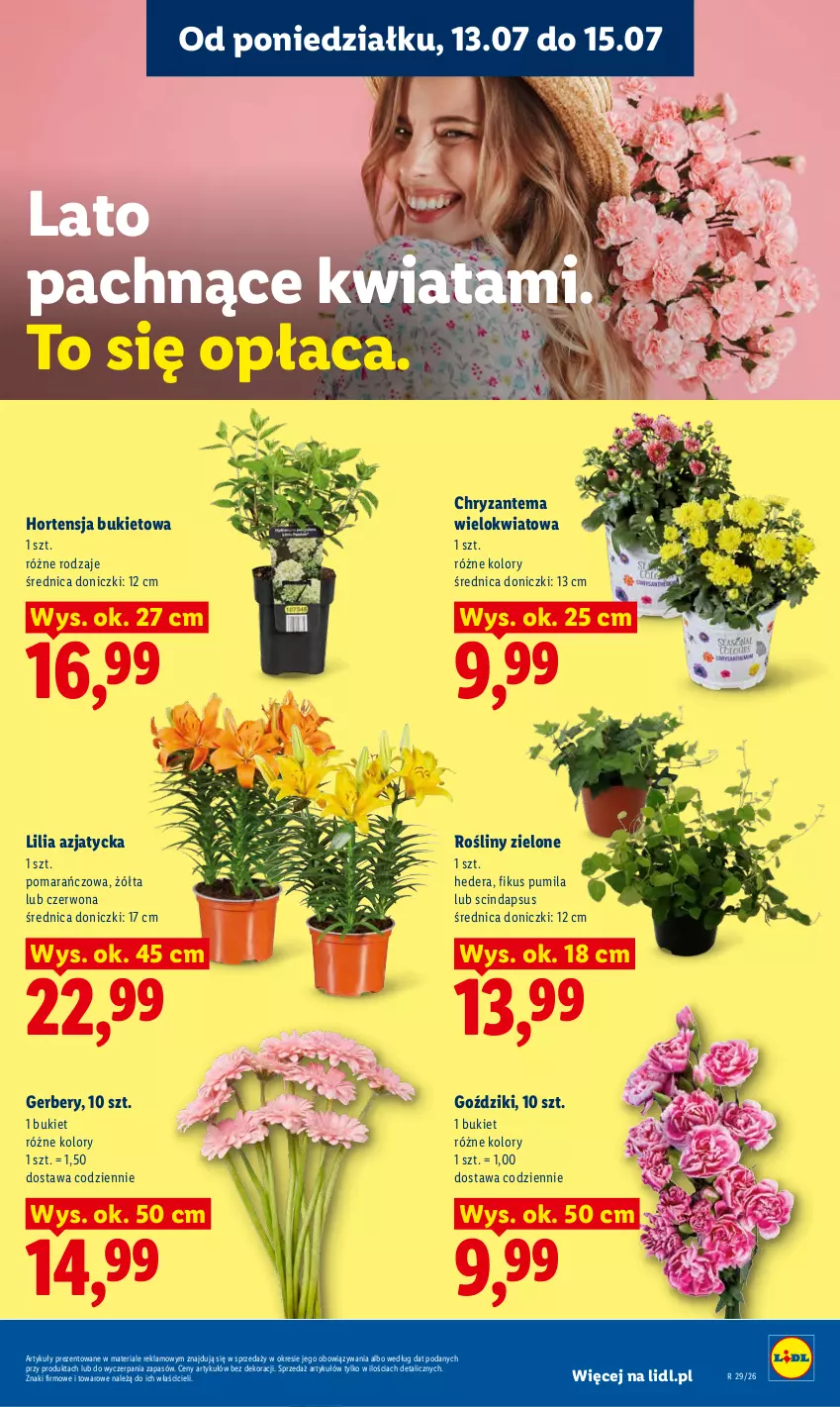 Gazetka promocyjna Lidl - Gazetka ważna od 13.07 do 15.07 - ważna 13.07 do 15.07.2026 - strona 87 - produkty: Bukiet, Chryzantema, Gerber