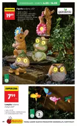 Gazetka promocyjna Biedronka - Okazje Tygodnia - Gazetka - ważna od 16.05 do 16.05.2026 - strona 30 - produkty: Por, Królik