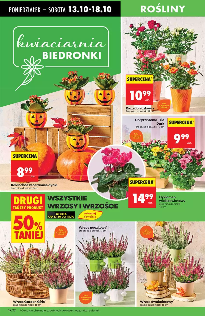 Gazetka promocyjna Biedronka - Od poniedziałku 13.10 - ważna 13.10 do 18.10.2025 - strona 16 - produkty: Chryzantema, Kalanchoe, Wazon
