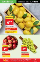 Gazetka promocyjna Biedronka - Od poniedziałku 13.10 - Gazetka - ważna od 18.10 do 18.10.2025 - strona 19 - produkty: Wino