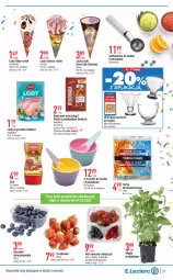 Gazetka promocyjna E Leclerc - Gazetka - ważna od 14.05 do 14.05.2022 - strona 27 - produkty: Kaktus, Truskawki, O Bag, Lody, Maliny, Torba, Foremki, Delecta, Mięta