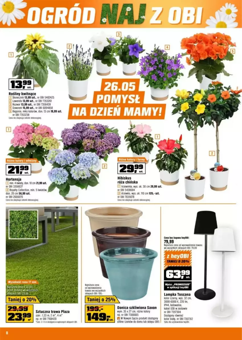 Gazetka promocyjna Obi - ważna 21.05 do 03.06.2025 - strona 31 - produkty: Beko, Dzwonek, Hibiskus, Inka, Róża, Ser