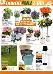 Gazetka promocyjna Obi - Gazetka - ważna od 03.06 do 03.06.2025 - strona 31 - produkty: Ser, Inka, Hibiskus, Róża, Beko, Dzwonek