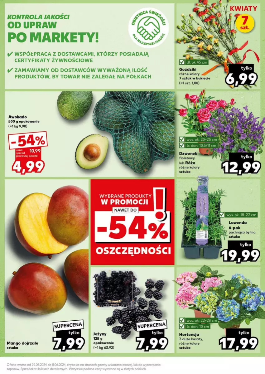 Gazetka promocyjna Kaufland - ważna 03.06 do 05.06.2024 - strona 3 - produkty: Jeżyny, Mango, Półka, Róża