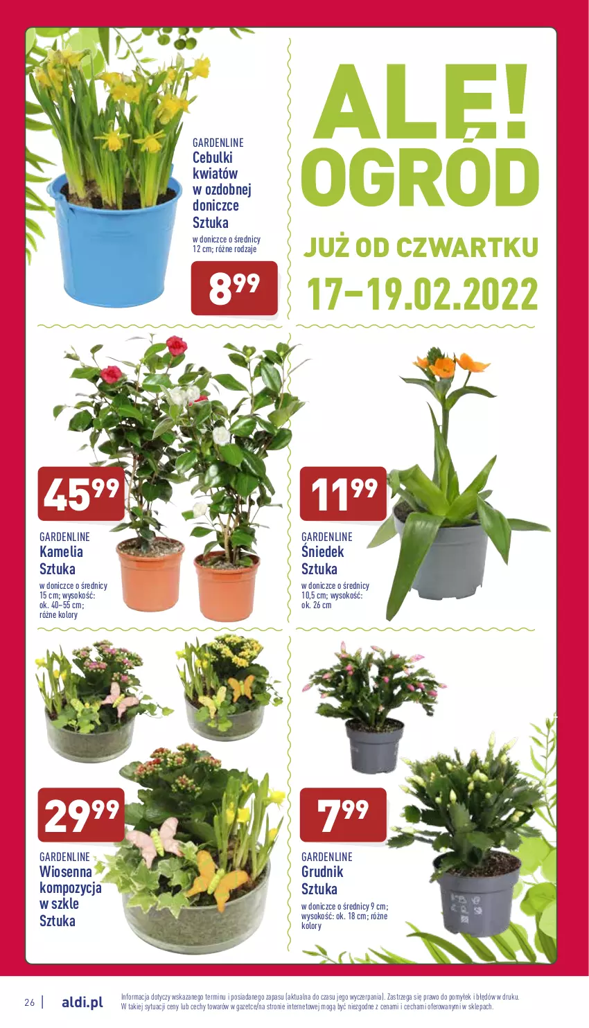 Gazetka promocyjna Aldi - Katalog spożywczy - ważna 14.02 do 19.02.2022 - strona 26 - produkty: Sok