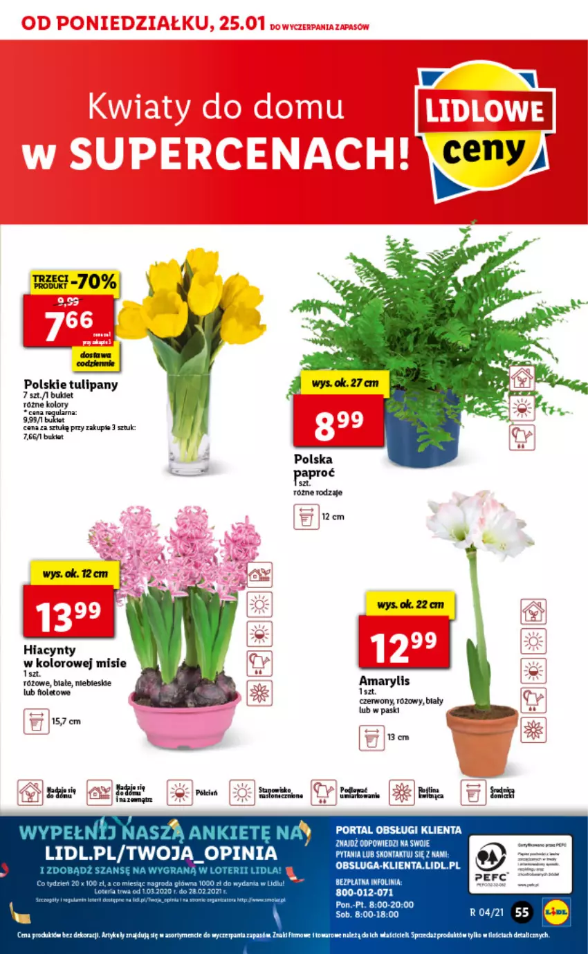 Gazetka promocyjna Lidl - GAZETKA - ważna 25.01 do 27.01.2021 - strona 55