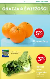 Gazetka promocyjna Żabka - Gazetka - ważna od 18.01 do 18.01.2022 - strona 22 - produkty: Warzywa, Pomarańcze, Sałat, Owoce