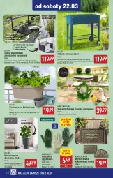 Gazetka promocyjna Aldi - Pełna oferta - Gazetka - ważna od 22.03 do 22.03.2025 - strona 40 - produkty: Por, Wycieraczka, Stolik, O nas, Rękawice, Wózek, Suszarka, Kokos