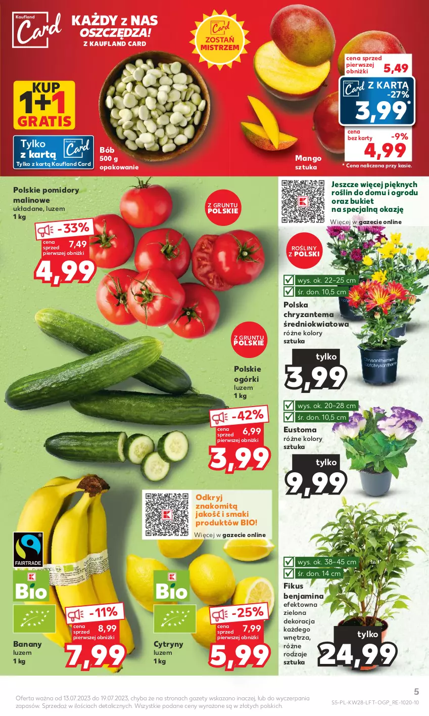 Gazetka promocyjna Kaufland - Gazetka tygodnia - ważna 13.07 do 19.07.2023 - strona 5 - produkty: Banany, Bukiet, Chryzantema, Cytryny, Gra, Grunt, Mango, Pomidory