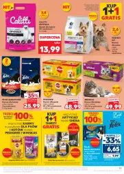 Gazetka promocyjna Kaufland - Gazetka tygodnia - Gazetka - ważna od 03.12 do 03.12.2025 - strona 55 - produkty: Por, Gra, Whiskas, Sati, Sheba, Felix, Waga, Pedigree
