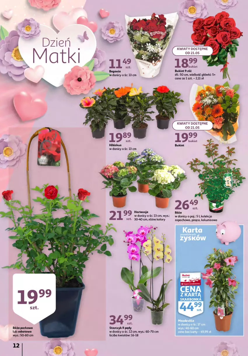 Gazetka promocyjna Auchan - Sezon na radość Hipermarkety - ważna 20.05 do 26.05.2021 - strona 12 - produkty: Bukiet, Hibiskus, Róża, Storczyk