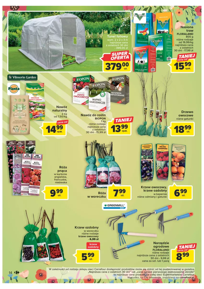 Gazetka promocyjna Carrefour - Gazetka Market - ważna 07.03 do 18.03.2023 - strona 16 - produkty: Flora, Róża, Tunel