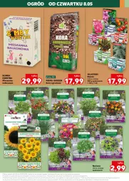 Gazetka promocyjna Kaufland - Kaufland - Gazetka - ważna od 14.05 do 14.05.2025 - strona 21 - produkty: Sok, Kora ogrodowa, Roszponka, Rukola, Sałat, Prima, Bazyl, Aksam, Bazylia, Nawóz, Ogród