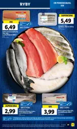 Gazetka promocyjna Lidl - GAZETKA - Gazetka - ważna od 11.10 do 11.10.2023 - strona 43 - produkty: Tusz, Dorsz, Sandacz
