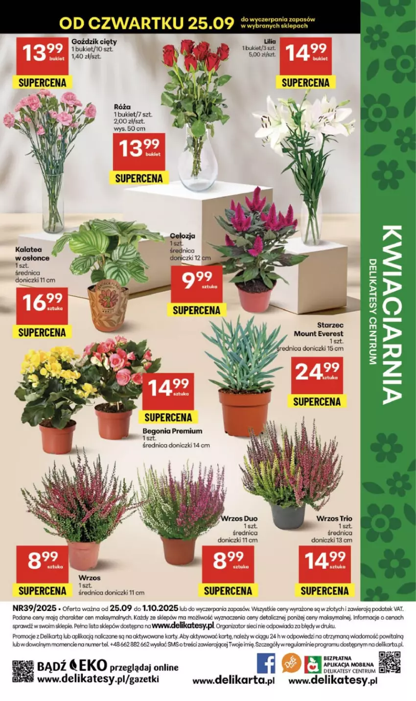 Gazetka promocyjna Delikatesy Centrum - Franczyza DC39 Czwartek - ważna 25.09 do 01.10.2025 - strona 52 - produkty: Bukiet, Gra