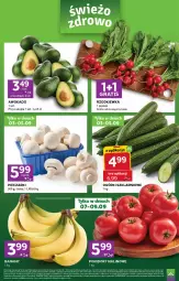 Gazetka promocyjna Stokrotka - Express - Gazetka - ważna od 09.09 do 09.09.2026 - strona 2 - produkty: Piec, Banany, Warzywa, Gra, Owoce, Pomidory, Rzodkiewka