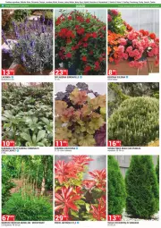 Gazetka promocyjna Merkury Market - Gazetka - ważna od 30.04 do 30.04.2024 - strona 2 - produkty: Chrzan, Sos, Sok, Fa