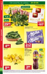 Gazetka promocyjna Stokrotka - Supermarket - Gazetka - ważna od 01.07 do 01.07.2026 - strona 6 - produkty: Warzywa, Gra, Ice tea, Cytryny, Optima, Czekolada, Bukiet, Owoce, Napój niegazowany, Grunt, Napój, Merci, Mięso, Milka