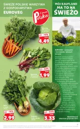 Gazetka promocyjna Kaufland - OFERTA TYGODNIA - Gazetka - ważna od 09.06 do 09.06.2021 - strona 11 - produkty: Warzywa, Gra, BIC, Inka, Sałat