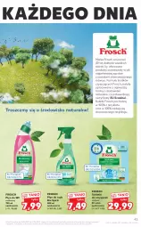 Gazetka promocyjna Kaufland - OFERTA TYGODNIA - Gazetka - ważna od 09.06 do 09.06.2021 - strona 43 - produkty: Frosch, Tablet, Płyn do wc, Płyn do szyb