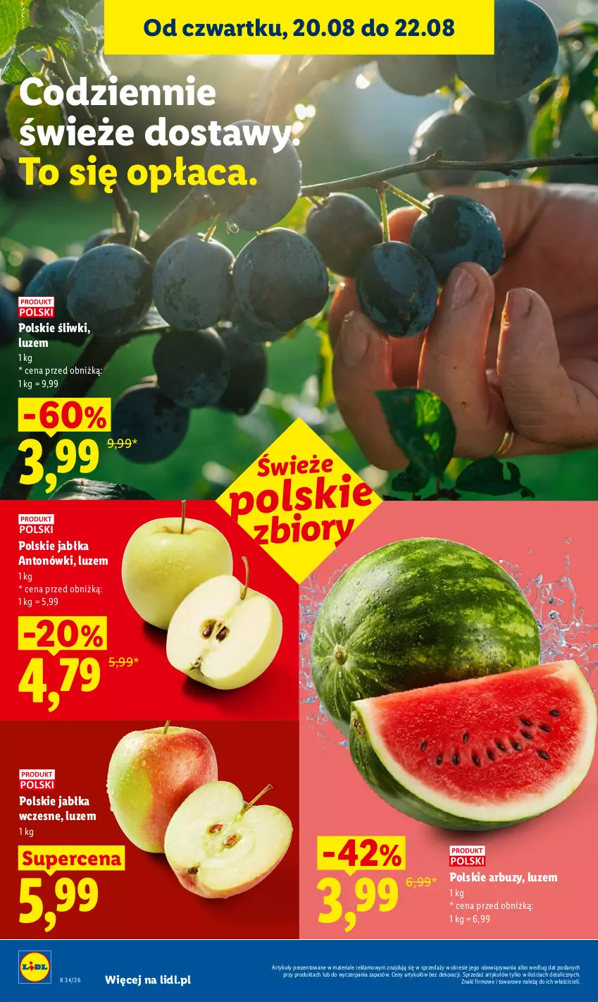 Gazetka promocyjna Lidl - Gazetka ważna od 20.08 do 22.08 - ważna 20.08 do 22.08.2026 - strona 44 - produkty: Arbuz, Jabłka