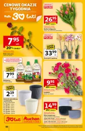 Gazetka promocyjna Auchan - 30 Lat Hipermarket - Gazetka - ważna od 18.02 do 18.02.2026 - strona 38 - produkty: Mus, Biohumus, Tulipan, Róża, Bukiet